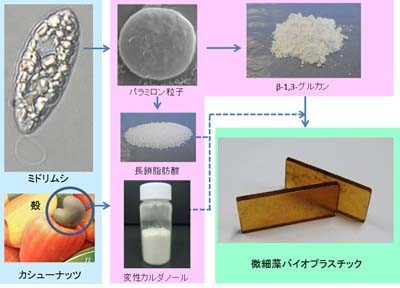 ミドリムシ原料のプラスチック