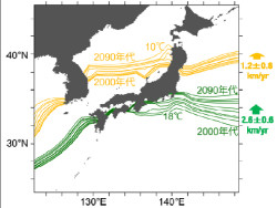 このままでは21世紀後半に日本近海のサンゴが壊滅的に 