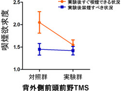 理研など、喫煙欲求が形成される脳の領域とそれを促進する領域を究明