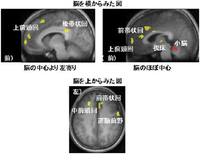 かむことで注意力と判断速度がアップ