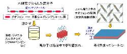 NIMSなど、厚さ3.5nmのチオフェンナノシートを合成