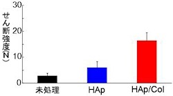 NIMSなど、骨との結合が従来の3倍早い「矯正歯科用骨膜下デバイス」を開発