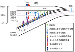 京大、沈み込むプレートから海水がマントルに加わる現象を発見