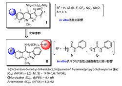 岡山大、新規構造の抗マラリア活性剤を発見