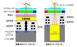 パナソニックなど、有機薄膜を用いた有機CMOSイメージセンサ技術を開発