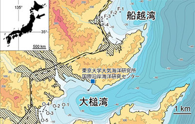 大津波から回復し始めた海底生態系