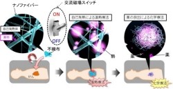 NIMS、がんの温熱療法と化学療法を同時に行えるナノ構造のメッシュを開発