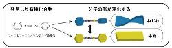 北大、結晶中の分子のドミノ倒しの観測に成功