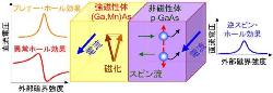 東北大、スピントロニクス材料中に流れるスピン流の定量的評価に成功