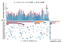 東大など、腎臓がんによるゲノム異常・分子異常の全体図の解明に成功