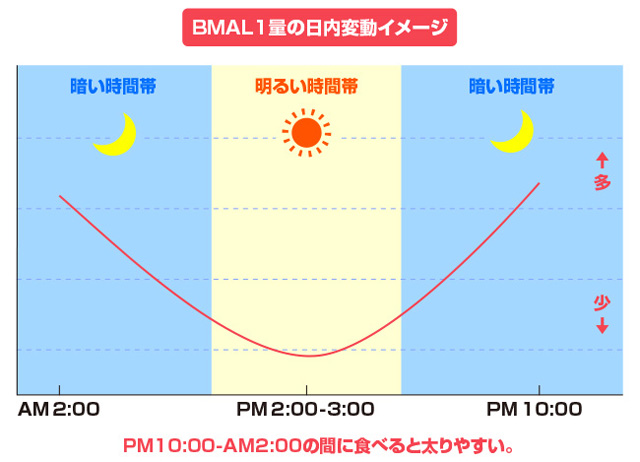 医者が断言する「脂肪を食べても太らない3 ...