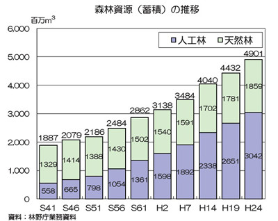 木造住宅や木材製品購入者は必見! 「木材利用ポイント」でお得に地域貢献