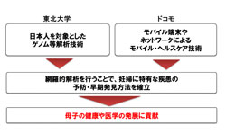 妊婦に特有な疾患の仕組み解明に向けNTTドコモと東北大が共同研究を開始