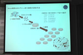 NEDOなど、腫瘍性なく安全性の高いMuse細胞を用いた3次元培養皮膚を実用化