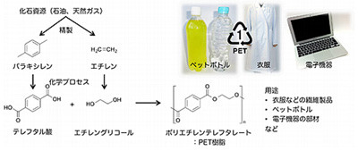 PET樹脂を非食用バイオマスから製造