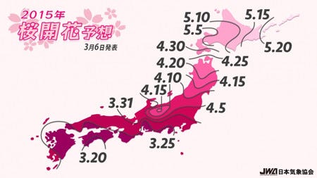 日本全国88地点で桜開花予想発表 