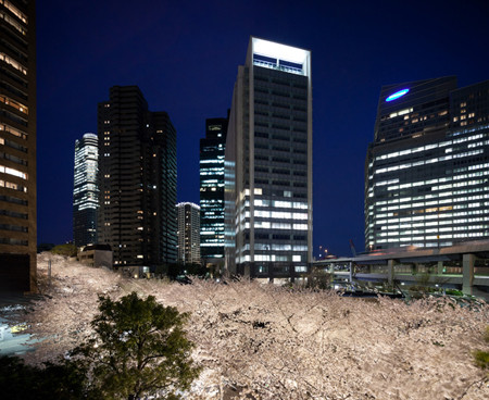 東京・アークヒルズで夜桜ライトアップ 