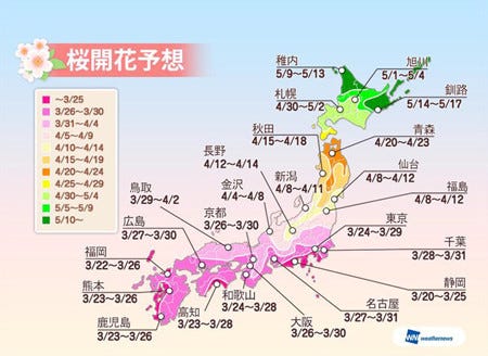 ウェザーニューズ「第二回桜開花予想」発表 