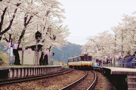 春旅行の人気急上昇エリア 