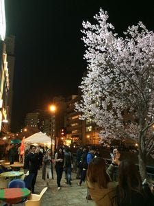 愛知県名古屋市で夜イチ日本酒まつり開催 