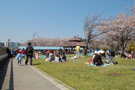 神奈川県・横須賀基地で日米親善よこすかスプリングフェスタ