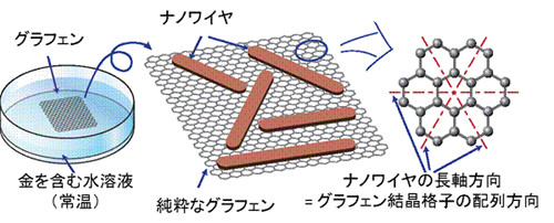 東大、グラフェンナノリボンの形成に成功