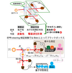 東大、量子の非局所性を高精度かつ厳密に検証することに成功