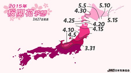 東京都で桜満開、北日本も早めの開花か 