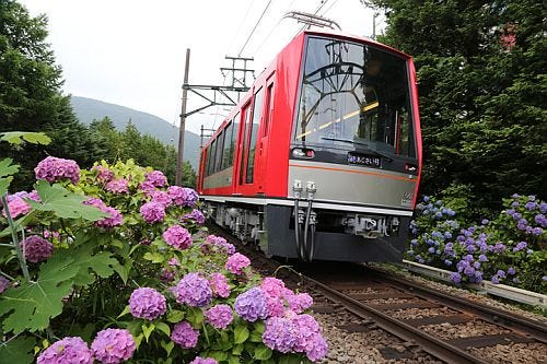 箱根登山鉄道「アレグラ号」も使用、「夜のあじさい号」6/20から運行開始!