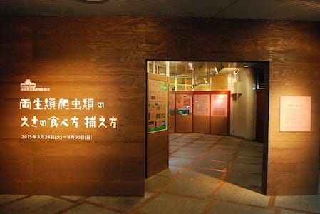 東京都・上野動物園で、特設展「両生類・爬虫類のえさの食べ方」が開催