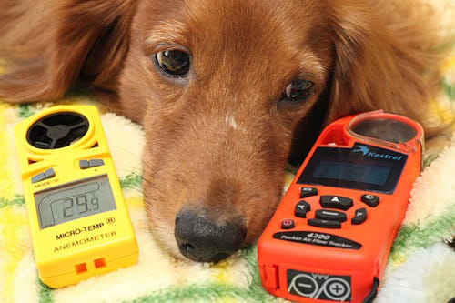 犬と家電とMacな日々 (8) 28度の温度設定は熱中症の危険領域だった? 風で効果的に予防する