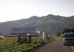 女巡礼一人旅! 仏像好きが行く四国八十八カ所 (25) 22番札所「平等寺」にて万病に効く霊水を飲む