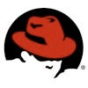 仮想化機能を強化した「Red Hat Enterprise Linux 5.3」のβ版が公開