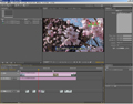 ビデオ制作の中核ソフト「Adobe Premiere Pro CS4」をプロの映像編集者が徹底レビュー -後編