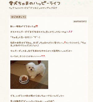 日本語対応のウェブフォントサービス「デコもじ」正式リリース