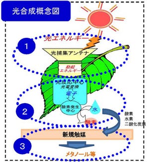 大阪市立大、人工光合成による次世代クリーンエネルギーの研究開発を開始