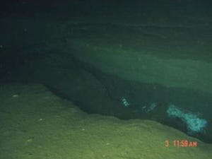 しんかい6500、潜航調査で地震の影響と思われる亀裂などを海底で発見