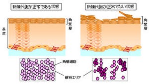 カゴメなど、トマトジュースの継続摂取による肌状態を改善効果を確認