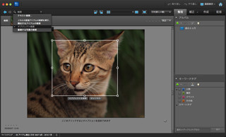 「Photoshop Elements 10」の新機能をチェック! 写真管理＆SNS連携機能編