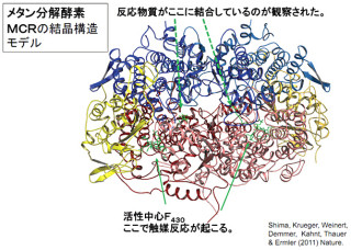 JST、メタン分解微生物の持つ酵素の立体構造を明らかに