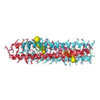 信州大、新規人工設計タンパク質「WA20」の立体構造を解明