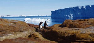 やはり南極などの氷床融解の原因は人為的な温暖化のせい? - 東大が発表