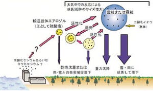 硫酸塩エアロゾルが放射性セシウム輸送の担体である可能性を示唆 - 産総研