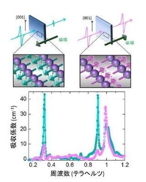 東大、スピンを利用したテラヘルツ光の制御に成功