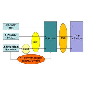 【科学用語の基礎知識】 - バイオエタノール(Bioethanol)