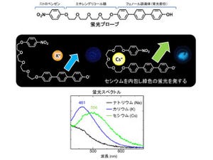 NIMS、固体表面や生物中のセシウムの分布を蛍光で可視化できる超分子を開発