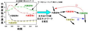 理研と九大、体内の「代謝反応ネットワーク」を推定する手法を開発