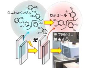 九大、水環境下で使えて光の照射で接着を制御できる接着剤を開発