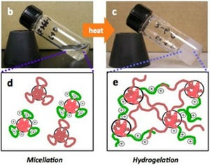 IBMとIBN、薬剤耐性菌を根絶することが可能な「抗菌ヒドロゲル」を開発