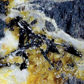 山口大など、レアアースを含む新種の鉱物を三重県の山中にて発見